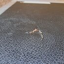 Detailní záběr na černý povrch s kroužkovou texturou, pravděpodobně jde o pouzdro nebo kufr na nástroj. Uprostřed je viditelné opotřebení ve formě od…