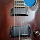 Detail hřednu elektrické kytary v tmavě hnědé barvě s viditnou strukturou dřeva. Nástroj má dva černé humbuckery s bílým nápisem Seymour Duncan a chr…