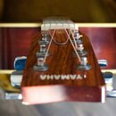 Fotografie zachicuje hlavu akustické kytary z hnědého dřeva s viditelnou masivní strukturou. Na hraně hlavy je bílým nápisem vyvedeno logo YAMAHA. Js…