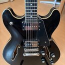 Černá polodublová elektrická kytara s bílým lemováním hran. Nástroj má dva humbuckery, černý plech (pickguard) a čtyři ovládací knoflíky. Na těle jso…