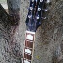 Fotografie zachycuje hmatník a hlavu elektrické kytary s černým povrchem v mramorovém efektu. Na hlavě je zlatý nápis GRETSCH a svisle orientovaný bí…