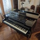 Černý křídlový klavír s lesklým povrchem. Nad klávesnicí je umístěn ozdobný dřevěný pult s výřezovými ornamenty. Na černém laku nad klávesami je zlat…