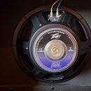 Fotografie zachycuje reproduktor s černým rámem, který je osazen v šasi. Na středovém krytu jsou viditelné nápisy INSTRUMENT SPEAKER, logo Peavey a B…
