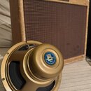 Na fotografii je kytarový zesilovač v béžovém potahu s hnědou mřížkou a zlatý reproduktor. Na horní hraně zesilovače je nápis Fender Harvard. Reprodu…