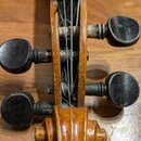 Detail hlavy smyčcového nástroje z hnědého dřeva s černými kolíky. Nástroj má čtyři napnuté struny a v dolní části je vidět zdobný závit hlavy. Na po…