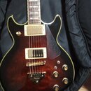 Tmavě červená elektrická kytara s tvarem singlecut v černém pouzdře. Nástroj má dva humbuckery, čtyři ovládací knoflíky a tmavý plechtrguard. Na most…