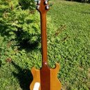 Kytara HAIK - HORN:BROWN