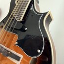 Detailní záběr na tělo polohollow kytary s přírodním dřevem a černým lemováním. Nástroj má černý plechtrguard s viditelnými šráby a bílý hmatník. Na…