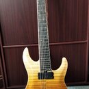 Elektrická kytara s tělem v žlutě-hnědém gradientním lakování (sunburst) a dvěma černými humbuckery. Na hlavě hрифu je viditelné logo schreter. Nástr…