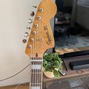 Hlava elektrické kytary z přírodního dřeva s šesti chromovanými ladičkami. Na povrchu je černý nápis Squier VII by Fender. Hrabednice má tmavý hmatní…