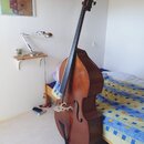Na fotografii je vidět smyčkový nástroj typu kontrabas v hnědém lakovaném provedení. Nástroj má tradiční tvar s f-otvory a bílým mostkem. Povrch laku…