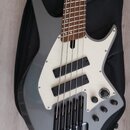 Šedá elektrická basová kytara s bílým pickguardem a hnědým hmatníkem. Na bílém plastu jsou umístěny dva černé humbuckery a tři ovládací knoflíky, z n…