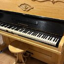 Světle hnědé dřevěné piano s černým krytem klaviatury. Na černé části je zlatý nápis A.PROKSCH a pod ním malý oválný štítek s nečitelným textem. Povr…