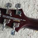 Zadní strana tmavě hnědé kytarové hlavy s chromovanými ladičkami. Na povrchu je bílý nápis: Built by World Musical Instrument Co., Ltd., Korea under…