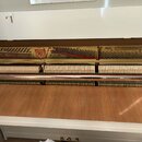 Interiér bílého pianina s otevřeným víkem. Je vidět kovový rám, struny a kladívka. Na rámu je zlatý štítek s nápisem „PATENTEE CONSTRUCTION GRAND PRI…