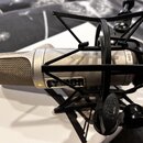 Stříbrný kondenzátorový mikrofon umístěný v černém pavoukovém držáku. Na těle mikrofonu je viditelný nápis RODE NT1 a pod ním označení P48. Na spodní…
