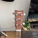Fotografie zachycuje hlavu akustické kytary v hnědém dřevěném provedení s bílým nápisem YAMAHA. Pod nápisem je vyryté logo ve tvaru stylizovaného ptá…