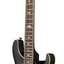 Prodam el. kytaru - PRS SE Custom 24 Semi-Hollow