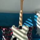 Squier Jim Root Telecaster