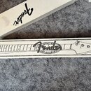 Na fotografii jsou dvě bílé papírové krabice na šedém koberci. Na horní krabici je černé logo Fender. Spodní úzká krabice obsahuje černý lineární nák…