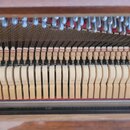 Detailní pohled do vnitřku klavíru nebo pianoly. Jsou vidět kovové struny, ladicí kolíky a řada dřevěných klavishových mechanismů s plstěnými tlumiči…