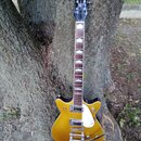 Zlatá elektrická kytara s černým hmatníkem a bílými vložkami. Na hlavě je nápis GRETSCH, na těle se nachází bílý plechtrguard a nápis GRETSCH. Nástro…