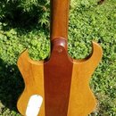Kytara HAIK - HORN:BROWN