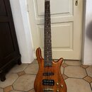Šeststrunná basová kytara s přírodním dřevěným povrchem a hnědým hmatníkem. Na těle jsou umístěny dva humbuckery, čtyři zlaté potenciometry a zlatý m…