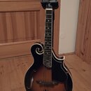 Kytara s polodubnovým tělem v tmavě hnědém sunburst provedení, umístěná na černém stojanu. Na hlavě je bílý nápis Harley Benton a dekorativní bílý or…