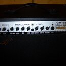 Černý kytarový kombo zesilovač s nápisem GW-35RM. Horní ovládací panel obsahuje knoflíky pro GAIN, VOLUME, HIGH, MID, LOW, ECHO LENGTH, DEPTH a VOLUM…