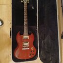 Červená elektrická kytara s tvarem single-cut v černém tvrdém kufru. Na hlavě hředu je viditelné logo Gibson. Kytara má dva humbuckery, čtyři ovládac…