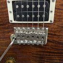 Detail elektrické kytary s hnědou dřevěnou deskou. Je vidět černý humbucker v bílém rámečku a chromovaný kobylník s jednotlivými sedly pro struny. V…