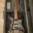 Elektrická kytara v hrdém kufru s šedým vnitřkem. Tělo kytary je černé s výrazným ornamentálním vzorem paisley v hnědých a béžových odstínech. Na hla…