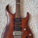 Elektrická kytara s hnědým lakovaným tělem a tmavým hnedým hmatníkem. Na 12. pražci je viditelný nápis DIVA. Nástroj má dva humbuckery, jeden ovládac…