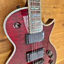 Elektrická kytara s červeným plamenovitým povrchem těla a hnědým hmatníkem. Nástroj má dva humbuckery, tři ovládací knoflíky a jednu přepínací páčku.…