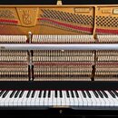 Interiér otevřeného černého křídla s viditelným mechanismem a zlatavými strunami. Na vnitřní straně rámu jsou nápisy MADE IN CZECH REPUBLIC, 613 330…