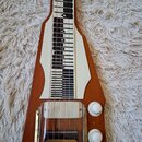 Dřevěná elektrická lap steel kytara s bílým hnízdovém prvkem na hmatníku. Nástroj má dva bílé oválné ovládací knoflíky a kovový most. Na těle nejsou…