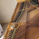 Fotografie zachycuje vnitřek otevřeného pianina s viditelnými strunami a ladicími kolíky. Na kovové desce je umístěno kulaté ozdobné logo, které obsa…