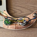 Fotografie zachycuje vnitřní elektroniku kytary s měděným stíněním v dutině. Jsou vidět zapájené potenciometry, přepínač a růnobarevné vodiče (černé,…