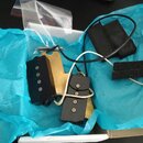 Dvě černé humbuckerové snímače s viditelnými póly, umístěné na zlatavém kovovém podkladu. K snímačům vedou bílé a černé vodiče. Součástí je také průh…