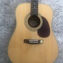 Akustická kytara s přírodním dřevem na lícové desce a tmavým hnedým pickguardem. Na mostku je nalepená žlutá oválná nálepka s nápisem "Best SOUND TOO…