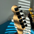 Squier Jim Root Telecaster