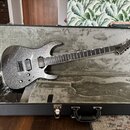 Elektrická kytara s tmavým, třpytivým povrchem v černém tvrdém kufru. Na hlavě kytary je viditelné logo ESP. Nástroj má dva humbuckery, jeden tónový…