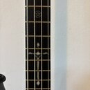 Cort EVL-Z6B