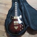 Elektrokytara s tmavě hnědým gradientem (sunburst) v černém měkkém pouzdře. Nástroj má dva humbuckery, zlatý hardware a bílý pickguard. Na hlavě je v…