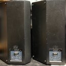 Dvě černé reproduktorové bedny z texturovaného materiálu. Na zadní straně každé bedny je stříbrný štítek s nápisy ESD 12, FULL RANGE a 8 OHM. Jsou zd…