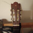 Hlava akustické kytary z tmavého dřeva s ozdobným horním zakončením. V horní části je zlaté logo Yamaha. Na hlavě jsou viditelné tři ladicí mechanism…