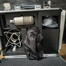 Stříbrný kondenzátorový mikrofon v černé pěnové výplni hliníkového kufru. Na těle mikrofonu je viditelný nápis „NEUMANN“. V kufru se dále nachází kov…