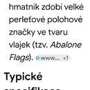 Snímek zachicuje text v češtině na bílém pozadí. Text popisuje hmatník jako tmavý ebenový či palisandrový s perleťovými polohovými značkami ve tvaru…