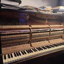 Fotografie zachycuje vnitřek černého pianina s otevřeným horním víkem. Jsou vidět klávesy, struny a mechanika nástroje. Na horní části pianina leží n…